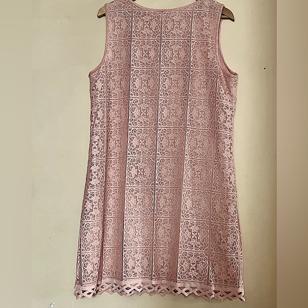 MAX STUDIO Blush Lace Sleeveless Dress - Picture 2 of 9